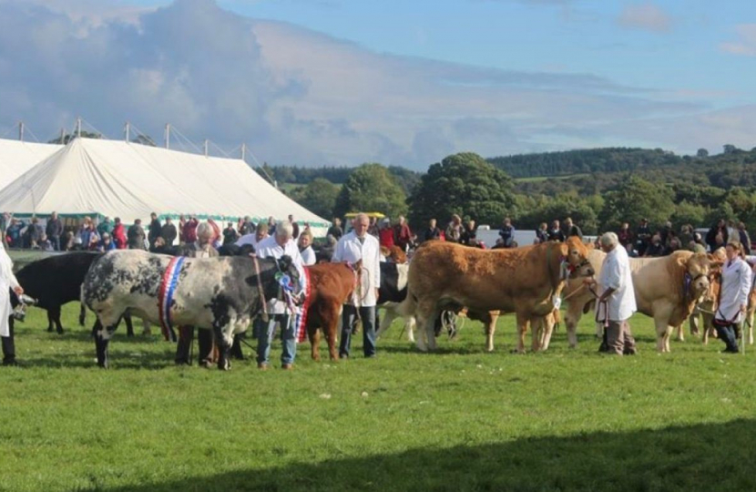 Nidderdale Show